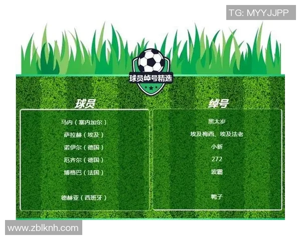 杭州足球队的华丽转身：从地方球队到世界杯舞台的奋斗历程