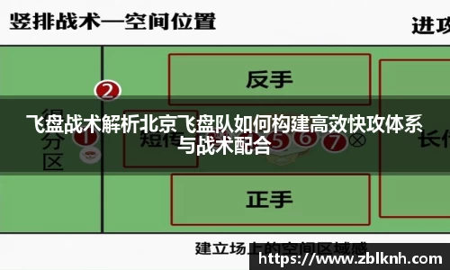 飞盘战术解析北京飞盘队如何构建高效快攻体系与战术配合