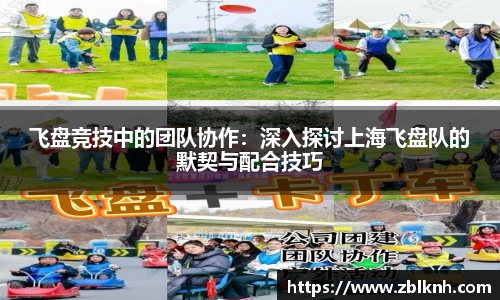 飞盘竞技中的团队协作：深入探讨上海飞盘队的默契与配合技巧